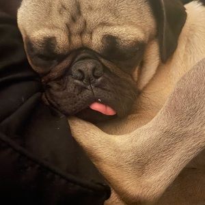 Meet your Posher, Sean